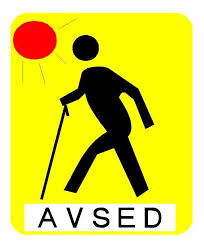 AVSED Logo