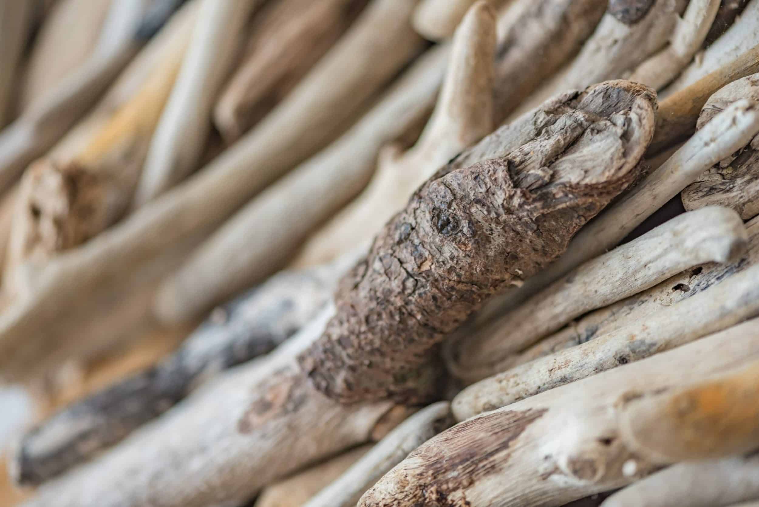 Close up of sticks