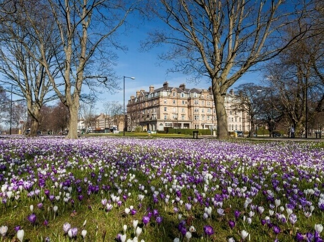 Funeral Arrangement Services Harrogate