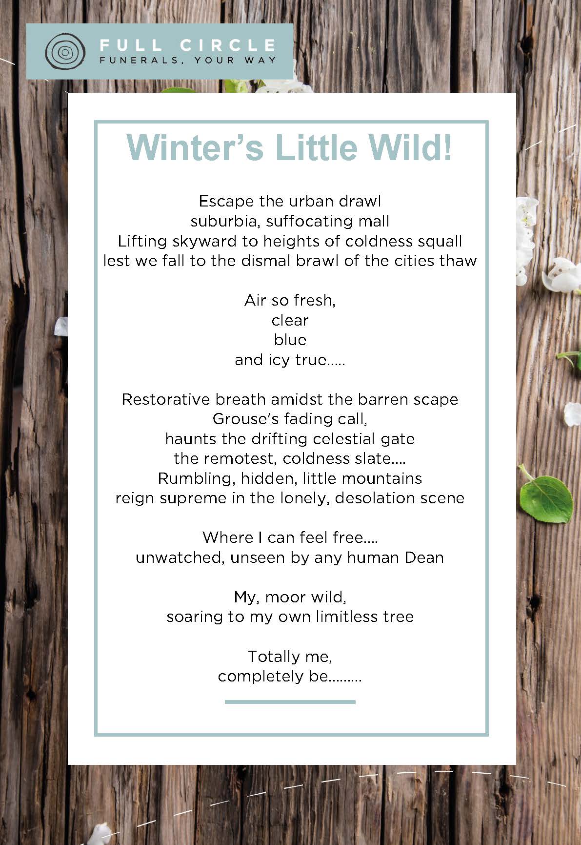 Winter's Little Wild!