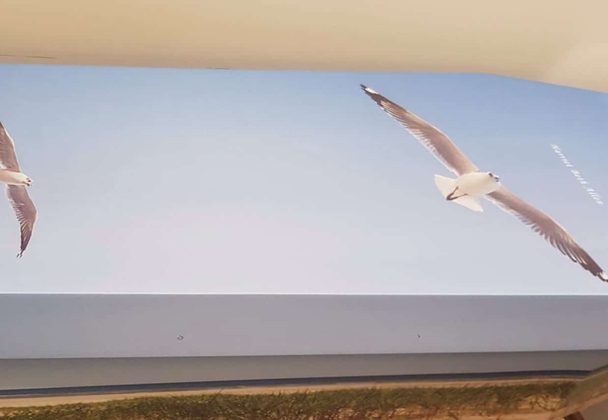 Carboard coffin with blue sky and flying seabirds