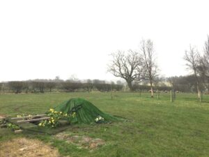 Tarn Moor Natural Burial Ground