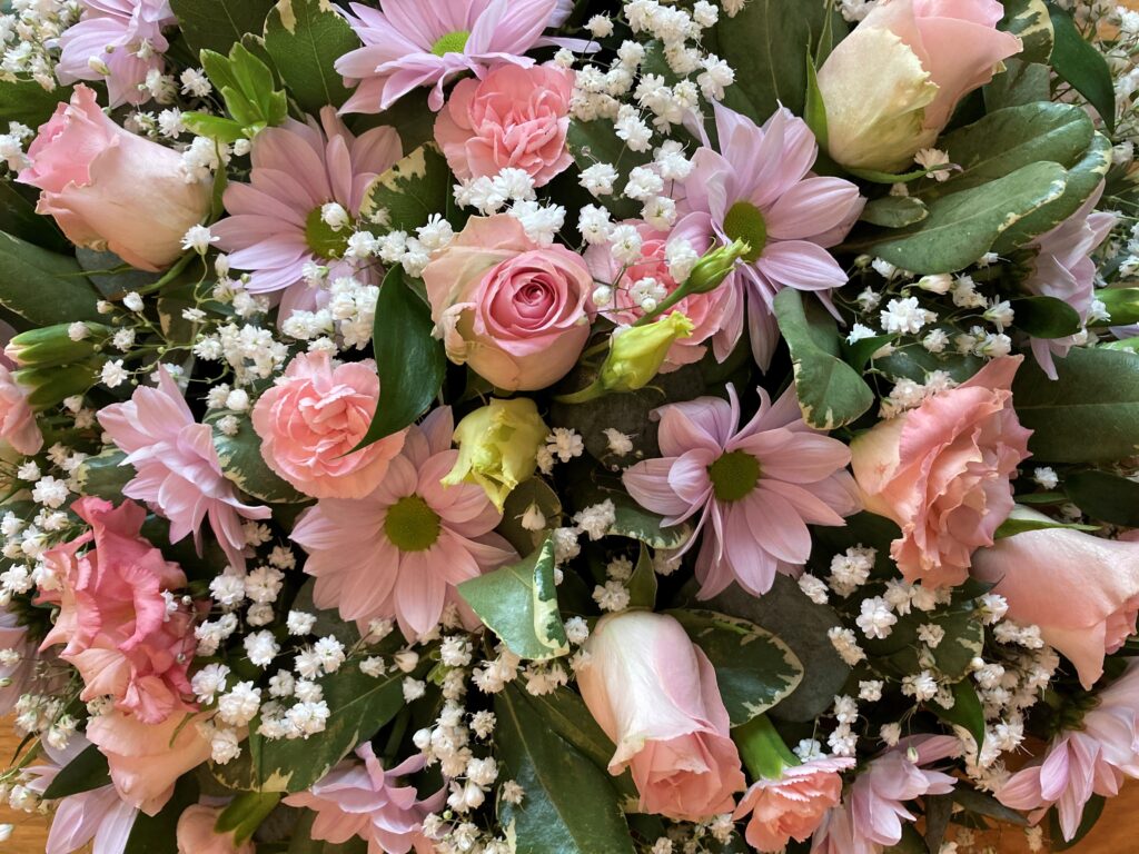 Pink flowers