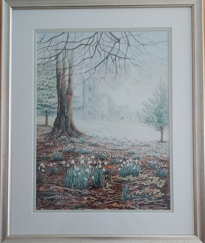 Shirley Vine - Fountains Abbey and Snowdrops