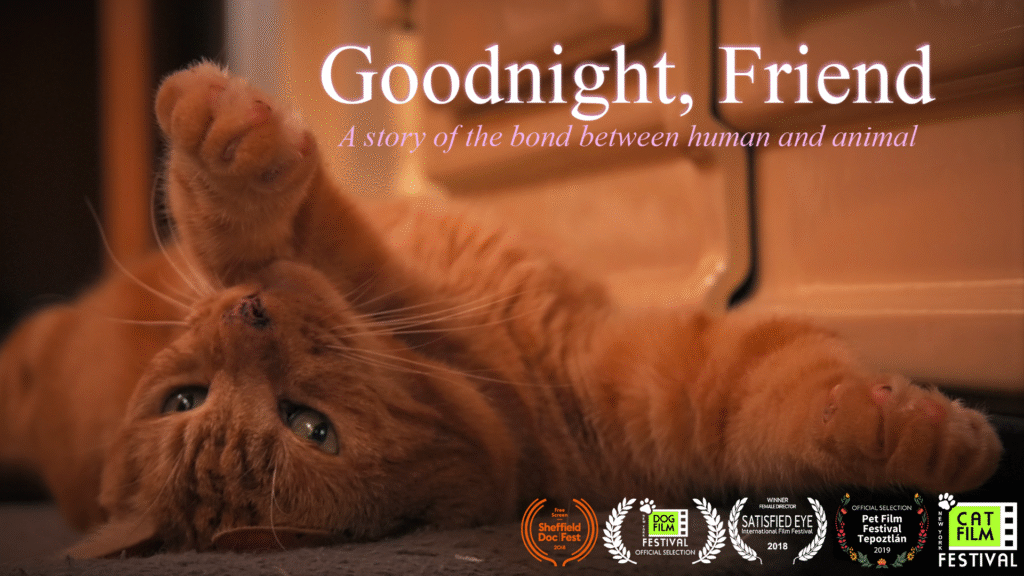 Goodnight Friend - Poster
