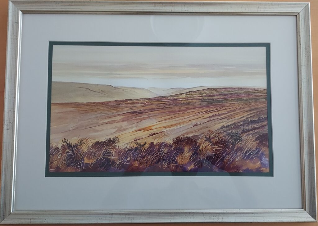 Shirley Vine - North yorkshire moors
