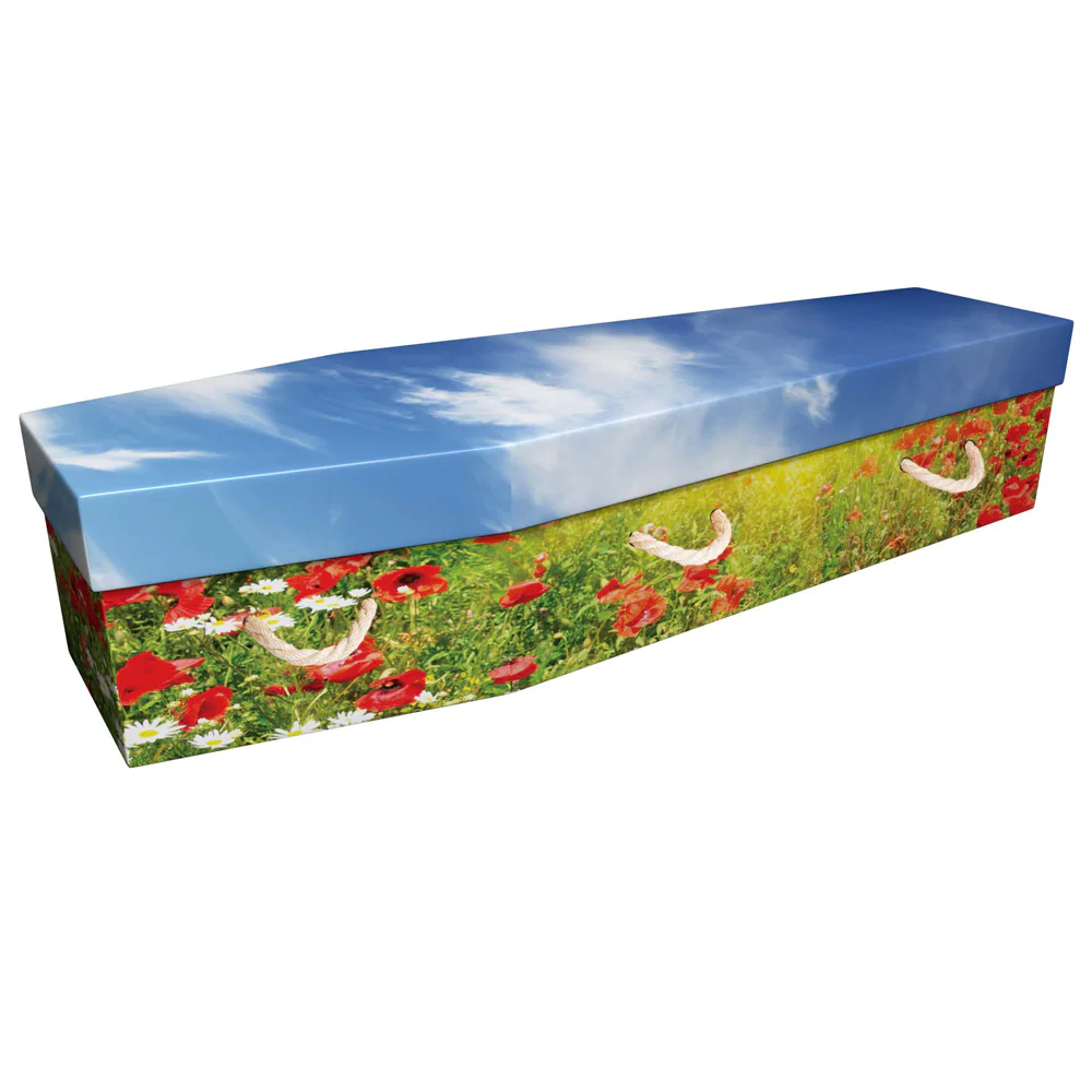 Picture Cardboard Coffin