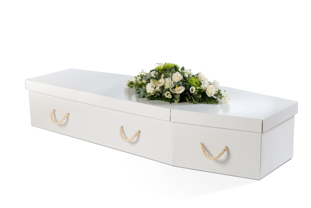White Cardboard Coffin