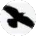 Shaun Poland profile picture