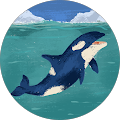 Suesat1 profile picture
