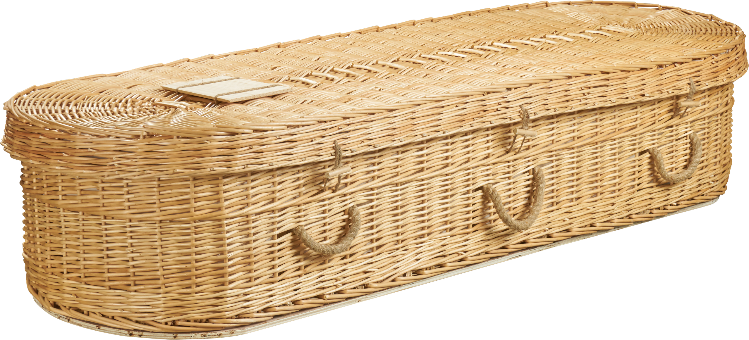 Oval Willow